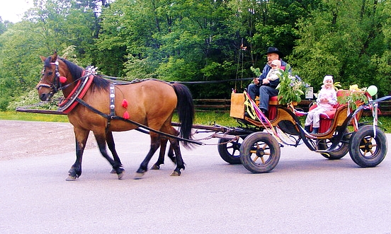 Bieszczady - horse carriages