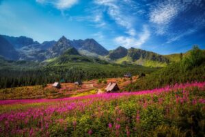 Mountains, Carpathians, Tatras, Poland