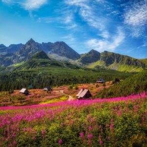 Mountains, Carpathians, Tatras, Poland