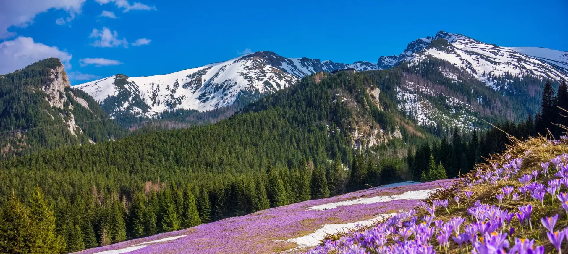 Tatry – Poland